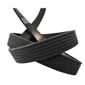 Ploy v-belt